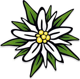 Edelweiss